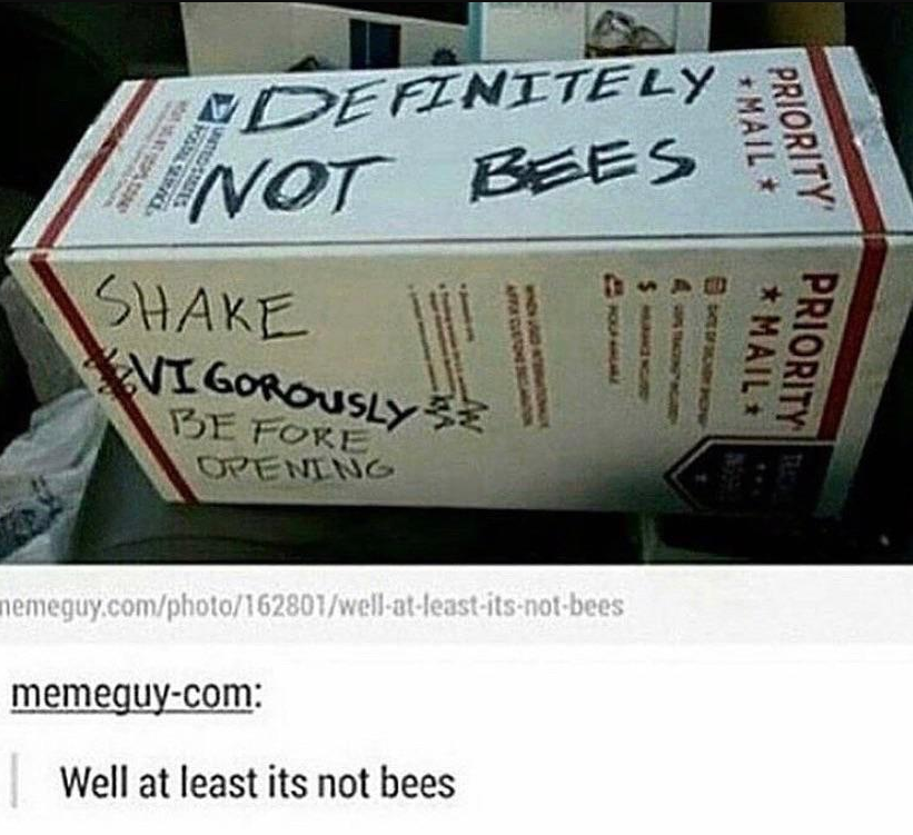 oddly specific posts - definitely not bees - Definitely Not Bees Watson Cance Shake Vigorously Be Fore Opening memeguy.comphoto162801wellatleastitsnotbees memeguycom Sta Well at least its not bees Mail Priority Besplay Mon Mail Priority