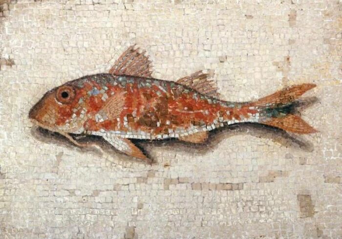 important historical pictures - mullet roman fish mosaic - Exen Uzi