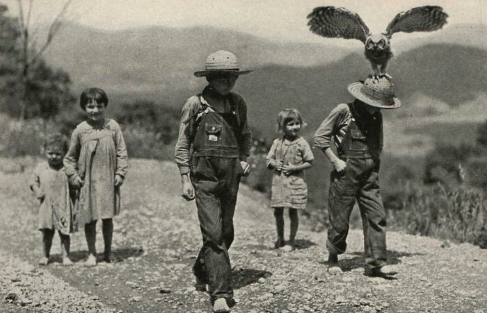 important historical pictures - boy and his owl 1933 - Mil