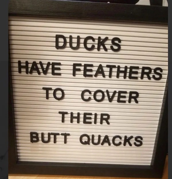 spicy and NSFW memes tantric tuesday - signage - Ducks Have Feathers To Cover Their Butt Quacks