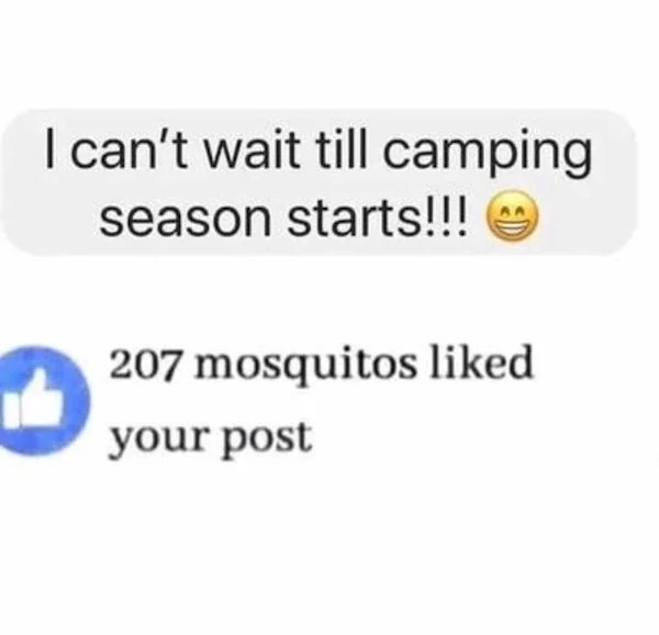 spicy and NSFW memes tantric tuesday - mosquitoes liked your post - I can't wait till camping season starts!!! 207 mosquitos d your post