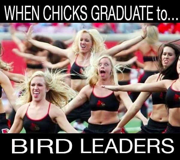 spicy and NSFW memes tantric tuesday - physical fitness - When Chicks Graduate to... X Bird Leaders