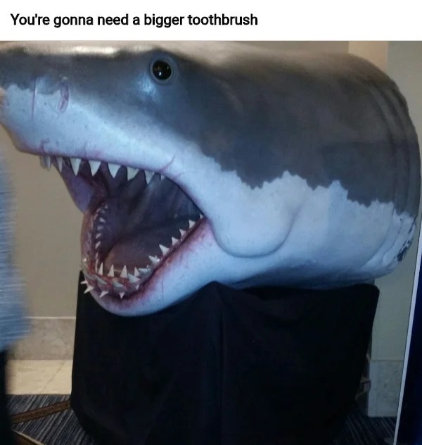 spicy and NSFW memes tantric tuesday - jaw - You're gonna need a bigger toothbrush