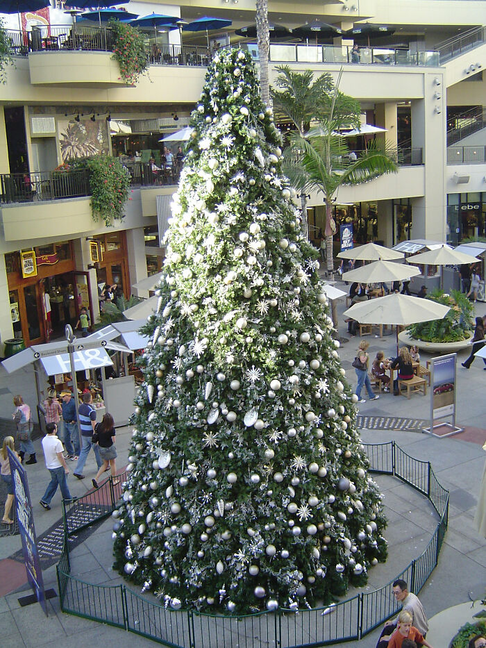 christmas tree -