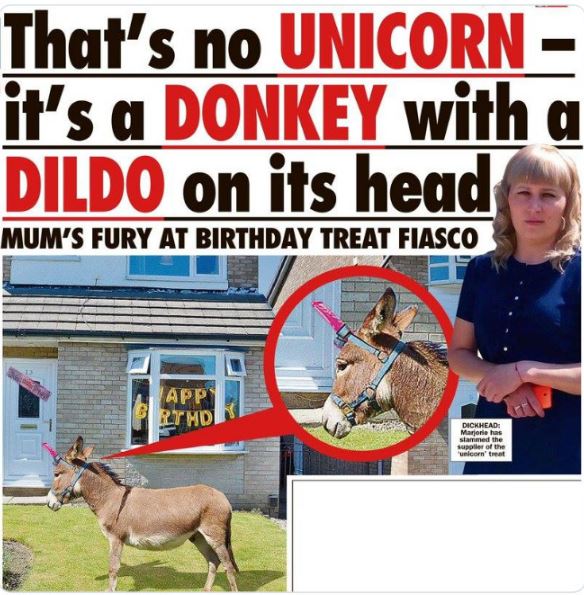 Funny news headlines - that's not a unicorn it's a donkey - That's no Unicorn it's a Donkey with