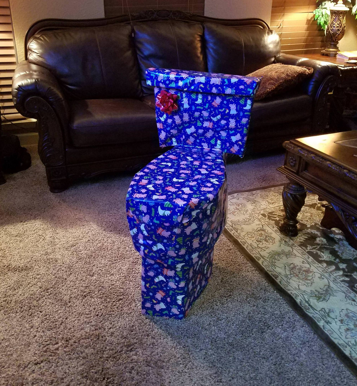 “Every year I try to disguise my sister’s Christmas present. This year I think I went a little too far.”