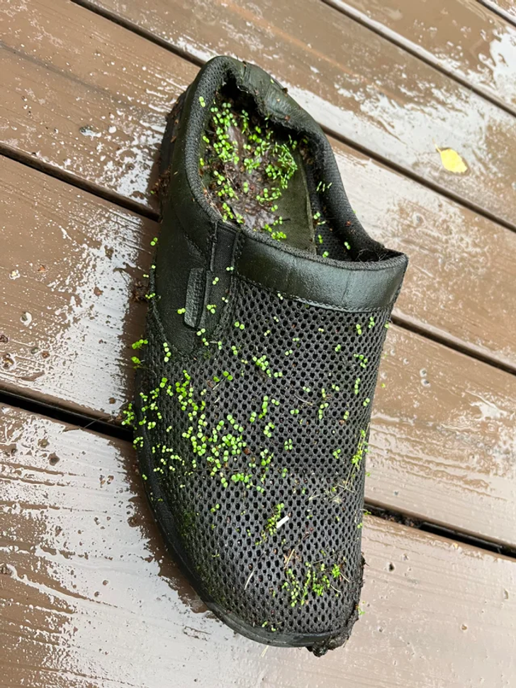 odd and unusual things - outdoor shoe