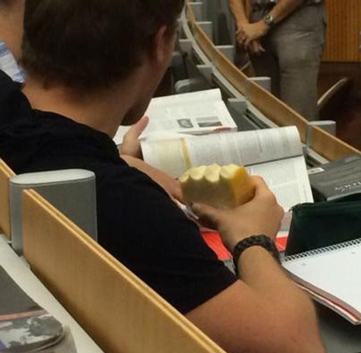 “I saw this guy in class today, and yes, that is cheese.”