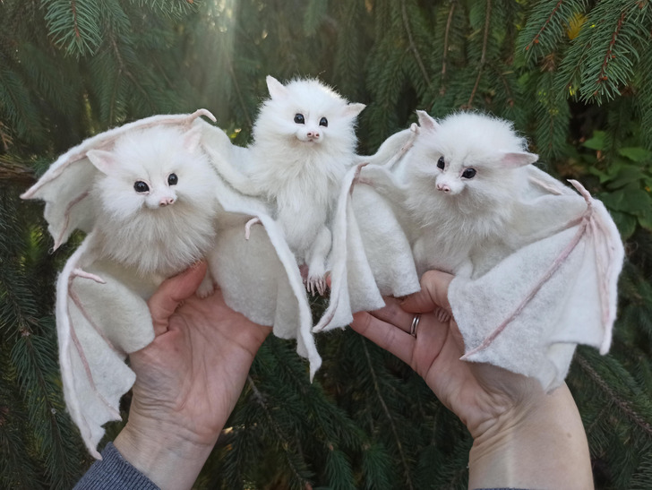 odd and unusual things - needle felted white bat