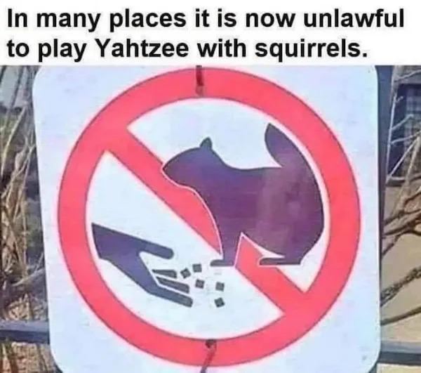 spicy memes for thirsty thursday - yahtzee with squirrels - In many places it is now unlawful to play Yahtzee with squirrels.