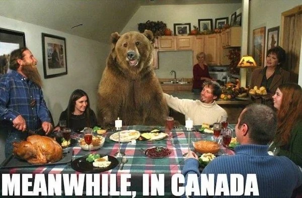 relatable memes - best thanksgiving memes - F Meanwhile, In Canada