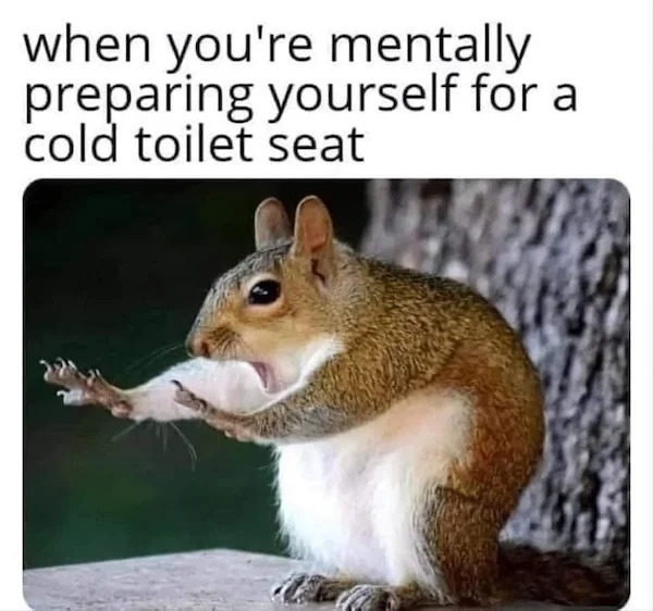 relatable memes - Toilet seat - when you're mentally preparing yourself for a cold toilet seat