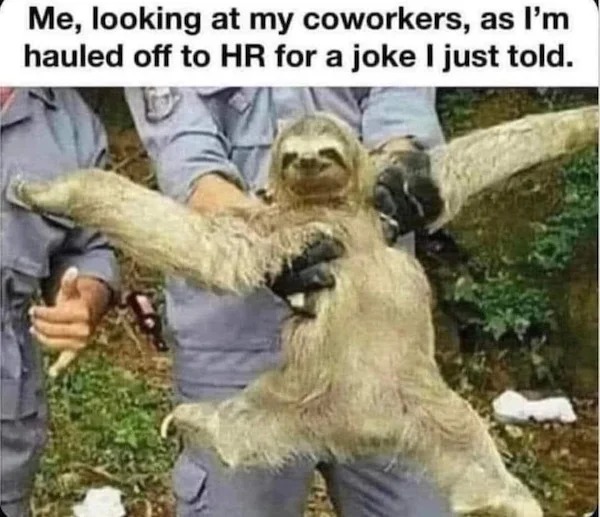 relatable memes - fauna - Me, looking at my coworkers, as I'm hauled off to Hr for a joke I just told.