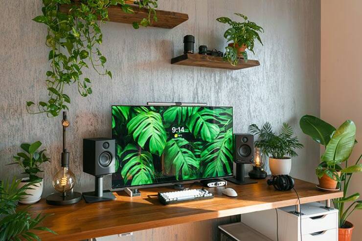 just plain awesome stuff - clean gaming setup with plants - m
