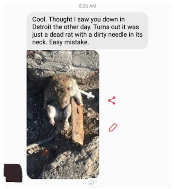 savage comments - fauna - Cool. Thought I saw you down in Detroit the other day. Turns out it was just a dead rat with a dirty needle in its neck. Easy mistake. 0