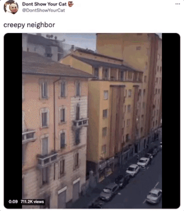 funny tweets - architecture - Dont Show Your Cat YourCat creepy neighbor views www