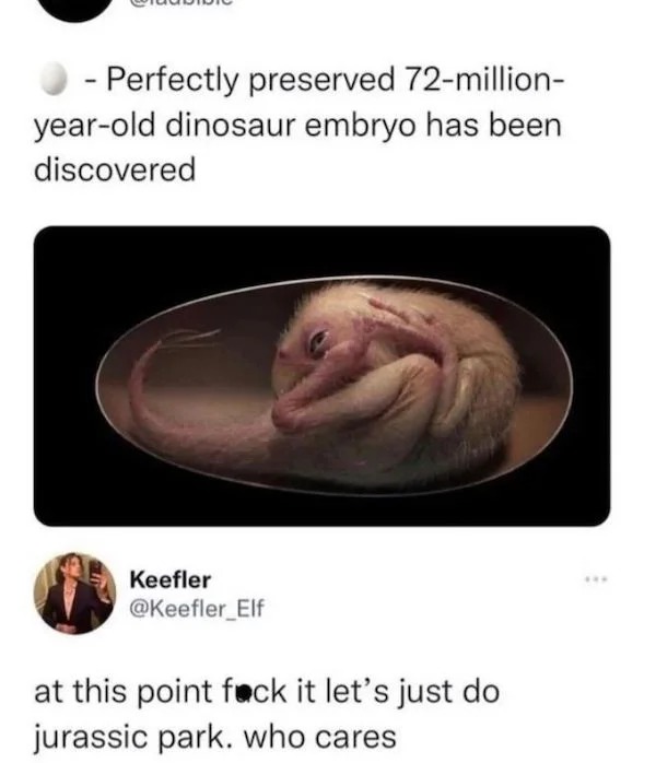 funny tweets - mouth - Perfectly preserved 72million yearold dinosaur embryo has been discovered Keefler at this point fock it let's just do jurassic park. who cares