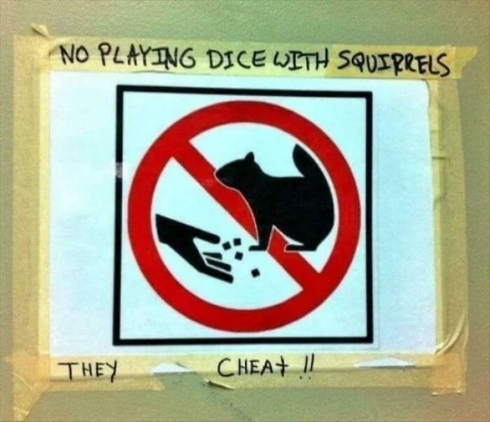 Funny vandalism - do not feed squirrels - No Playing Dice With Squirrels They Cheat
