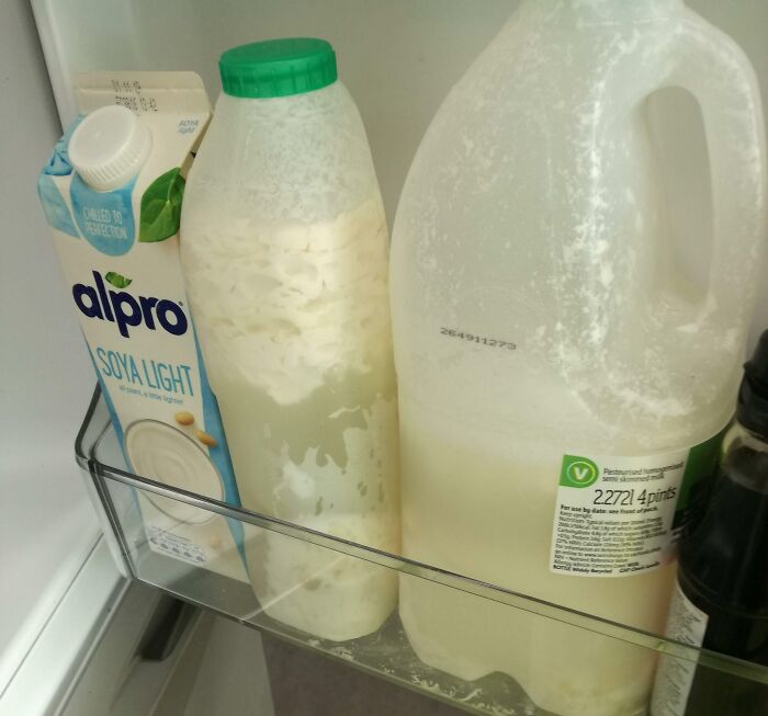 terrible roommates - buttermilk - Chuled To Peswection E640 2014 Way alpro Soya Light 1273 Semu 22721 4pints ate se fund
