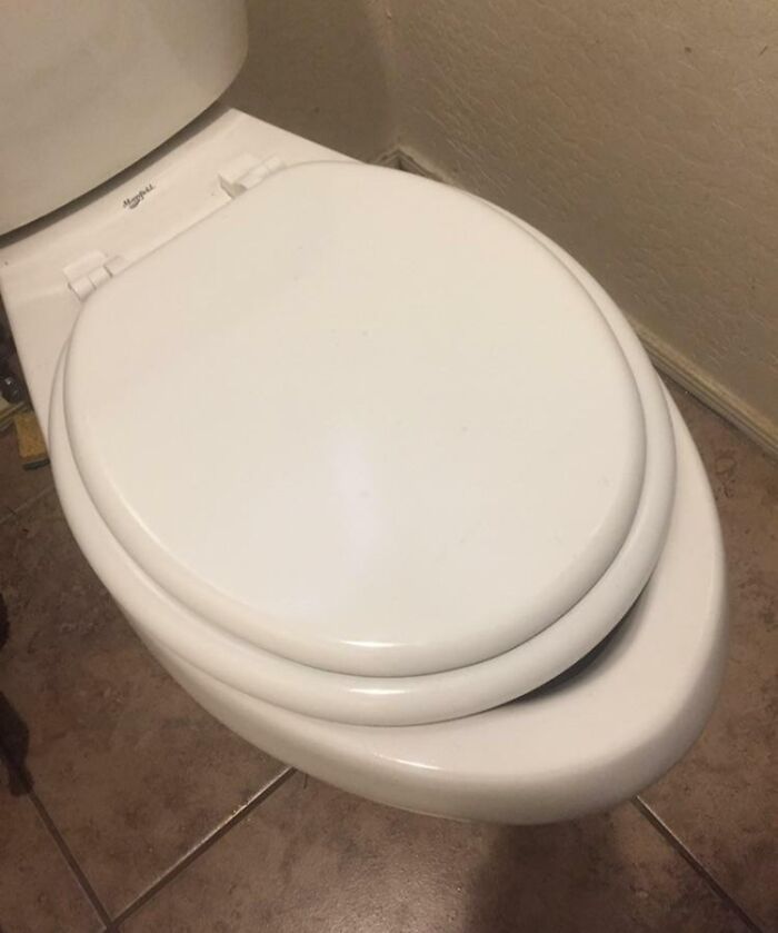 Roommate Broke The Toilet Seat. No Worries Though. He Replaced It