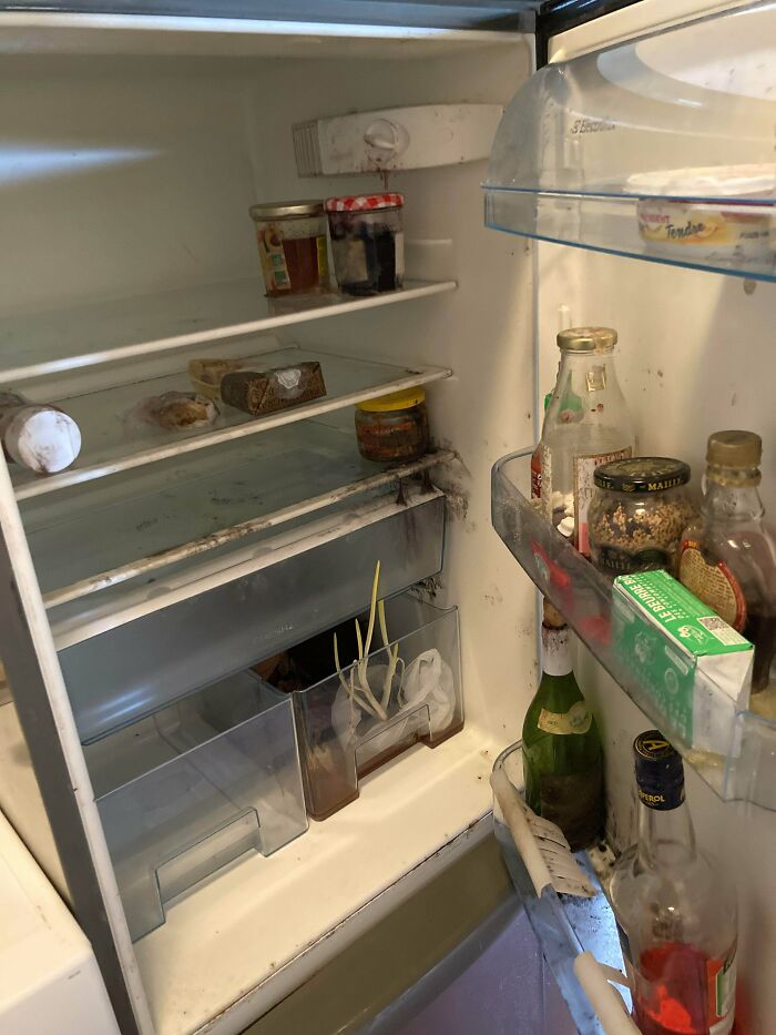 terrible roommates - refrigerator