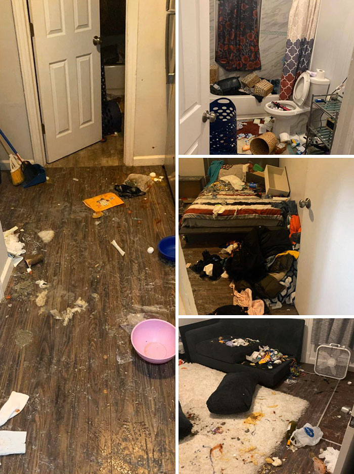 terrible roommates - floor
