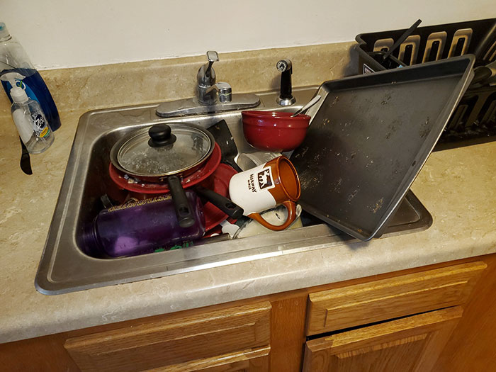 How My Roommate Left The Sink Before Leaving For 2.5 Weeks