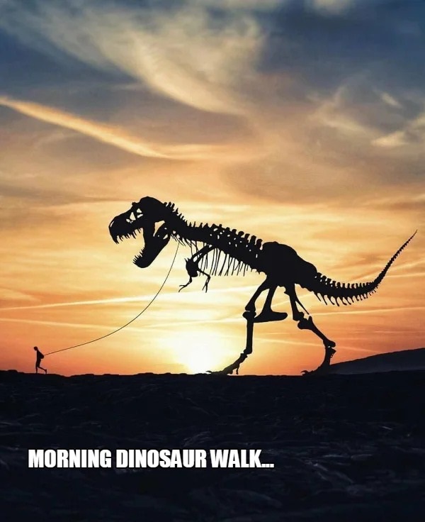 t rex skeleton - Morning Dinosaur Walk...