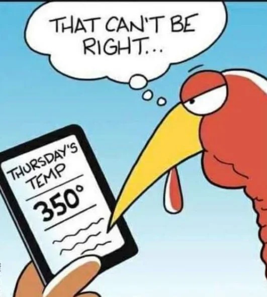 turkey that cant be right - That Can'T Be Right... Thursday'S Temp 350