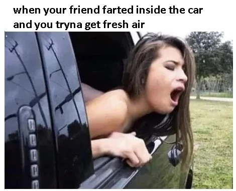 cropped porn memes - when your friend farted inside the car and you tryna get fresh air 1 B