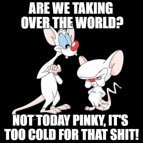 pinky and the brain - Are We Taking Over The World? Not Today Pinky, It'S Too Cold For That Shit!