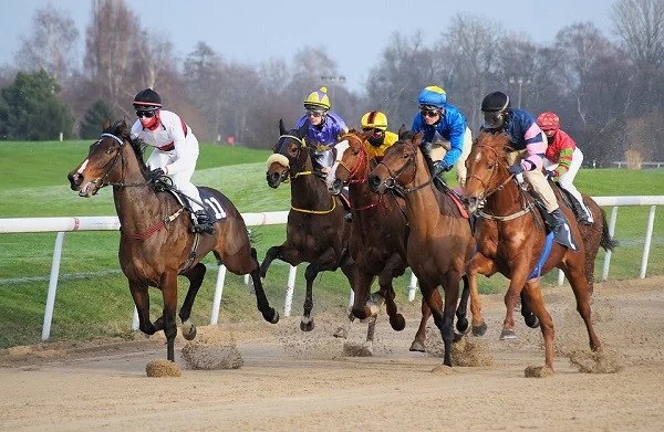 In 1923, a jockey named Frank Hayes suffered a fatal heart attack and died mid-race. His body remained on the horse and crossed the finish line in first place. He had never won a race before in his life.