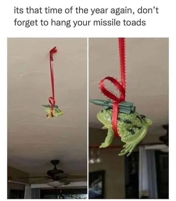 dank memes - mistletoe missile toad - its that time of the year again, don't forget to hang your missile toads