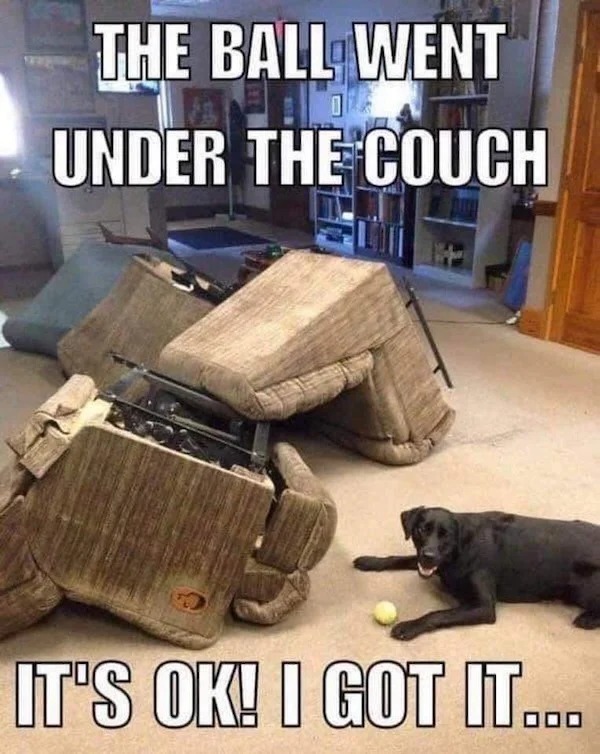 dank memes - ball went under the couch - The Ball Went Ta Under The Couch It'S Ok! I Got It...