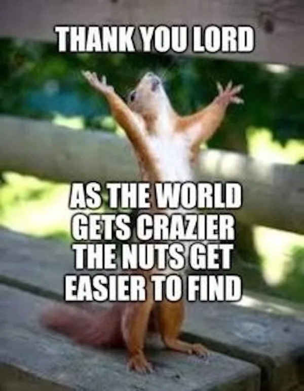 dank memes - thank you lord as the world gets crazier the nuts get easier to find - Thank You Lord As The World Gets Crazier The Nuts Get Easier To Find