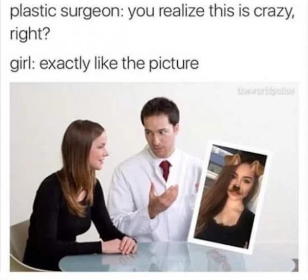 dank memes - plastic surgery memes - plastic surgeon you realize this is crazy, right? girl exactly the picture
