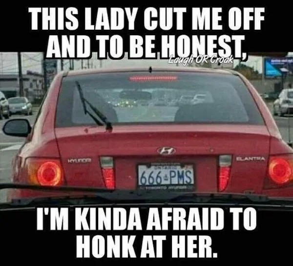 dank memes - 666 pms - This Lady Cut Me Off And To Be Honest, Laugh Or Croak Elantra 666 Pms I'M Kinda Afraid To Honk At Her.