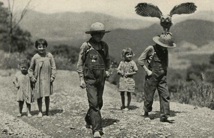 fascinating historical photographs - boy and his owl 1933 - Lu