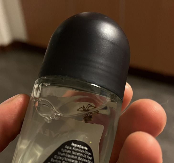 ’’I bought a deodorant with a spider in it.’’