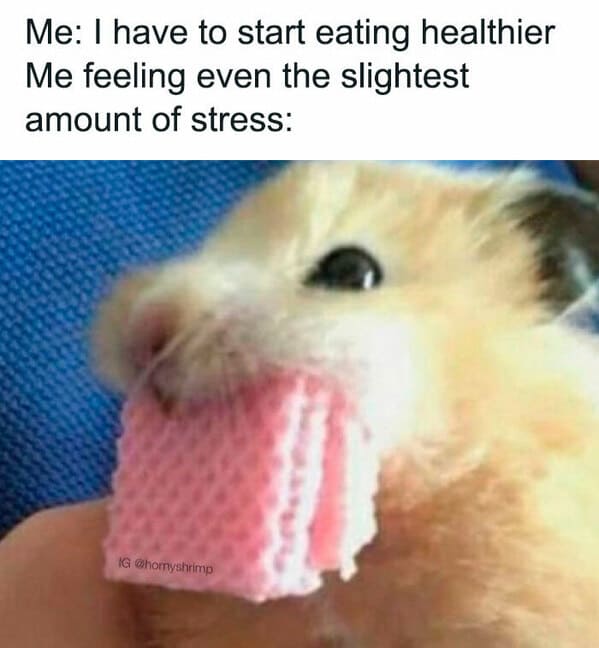 relatable memes - Me I have to start eating healthier Me feeling even the slightest amount of stress Ig
