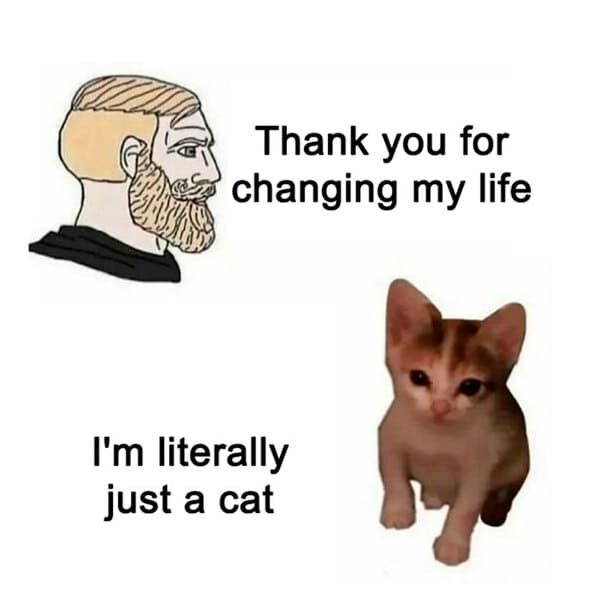 relatable memes - chad vs chad meme template - Thank you for changing my life I'm literally just a cat
