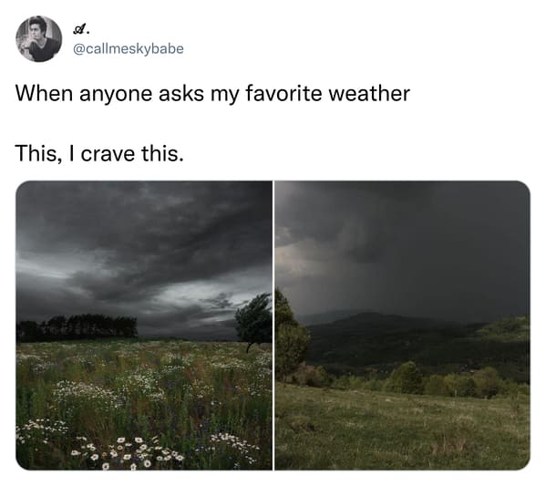 relatable memes - gloomy field - A. When anyone asks my favorite weather This, I crave this.