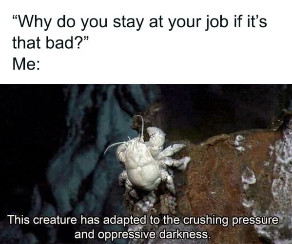 relatable memes - hairy chested yeti crab - "Why do you stay at your job if it's that bad?" Me This creature has adapted to the crushing pressure and oppressive darkness.
