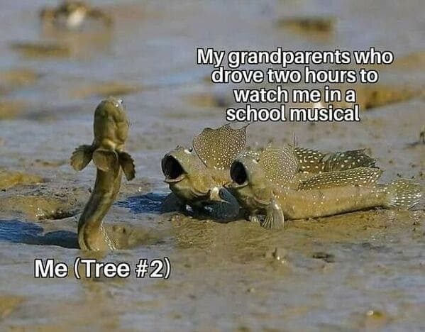 relatable memes - impressed mudskipper meme - Me Tree My grandparents who drove two hours to watch me in a school musical