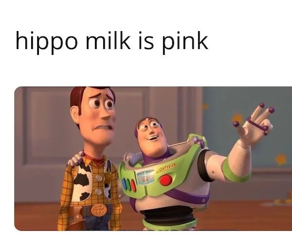 relatable memes - human behavior - hippo milk is pink Te Le Spect Lightyear 000