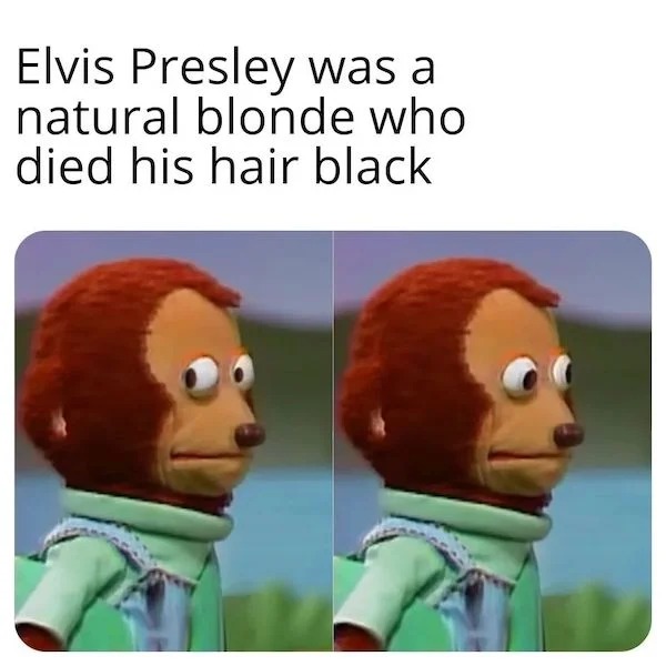 relatable memes - Internet meme - Elvis Presley was a natural blonde who died his hair black