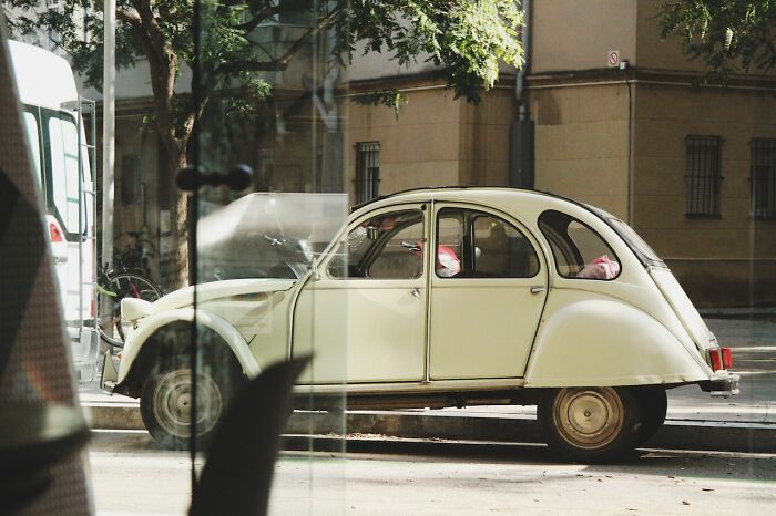 My aunt mysteriously disappeared before I was born. Her car was found running and her purse was still inside, parked off the side of the road. No one knows what happened to her. They didn’t even fill out a missing person's report. It’s as if she 'ran away.' We’ve not seen or heard from her ever since. There’s a possibility it was murder, but my family is very hush-hush about the whole situation.