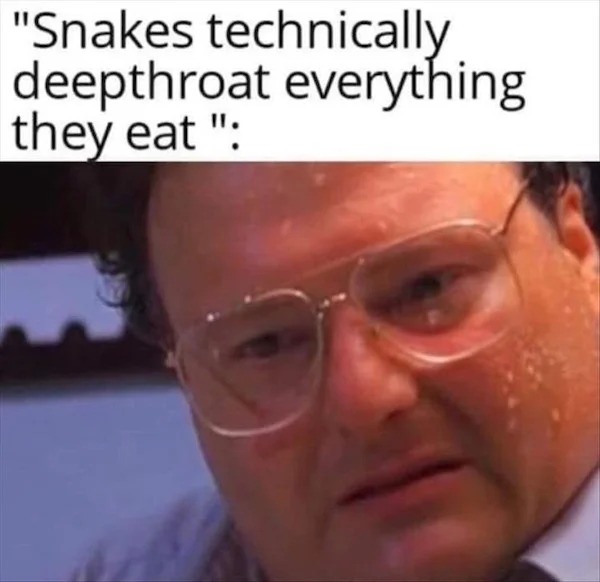 spicy memes sultry saturday - head - "Snakes technically deepthroat everything they eat"