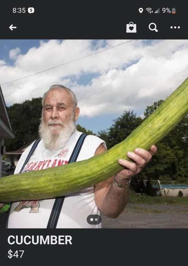huge versions of ordinary items - largest pickle in the world - S Taryen Tuss Bo Cucumber $47 2 | .... 9% Q