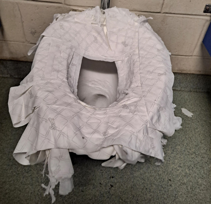 ’’Even though I’m not the janitor, I was annoyed. Your tushy is not that special that you need a whole roll of toilet paper just to sit down.’’
